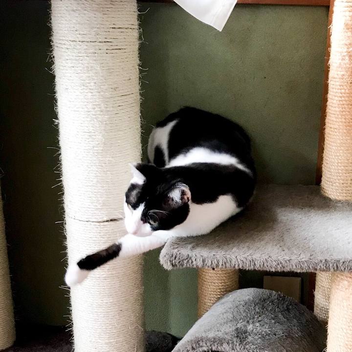 D7d3c744 af39 471d b6e9 2b3c74359e65 1531062144580