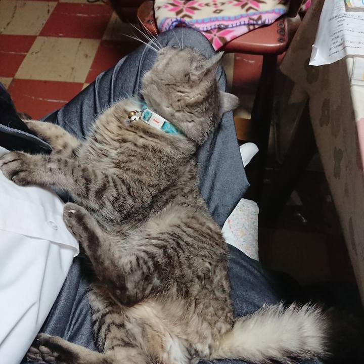 D7d3d8a2 a399 4408 bba6 1489ec1b2877 1572395538668