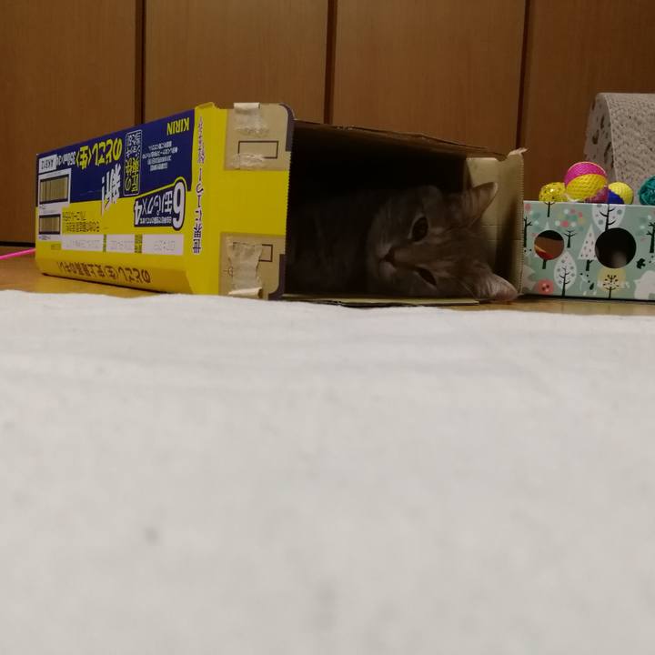 D7d3ecf1 1d36 4124 a510 a7e44aa0e571 1535762690642