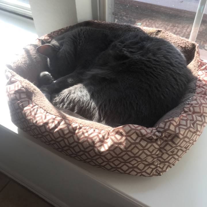 D7d4248f be74 4ce7 aae2 79d7ff8eacad 1654733539745