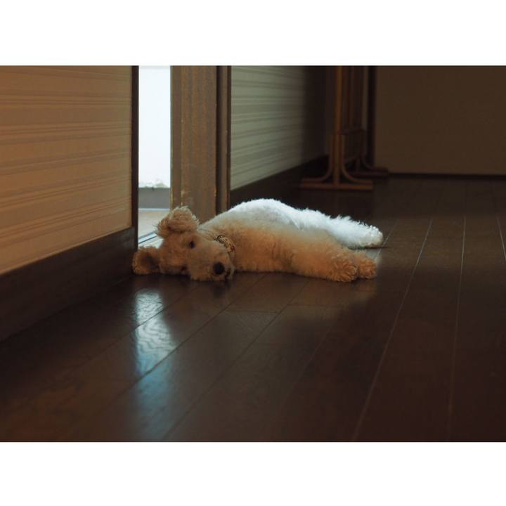 D7d44ebc 6c6c 4802 a904 2cc8534a93af 1560699753355