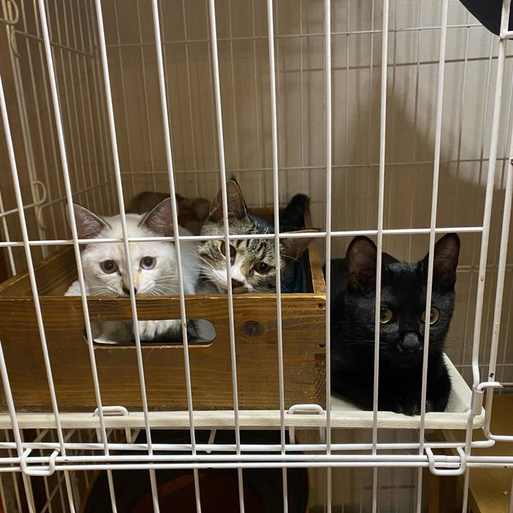 D7d4883e 8834 4982 ac5f c575308d1214 1631361996707