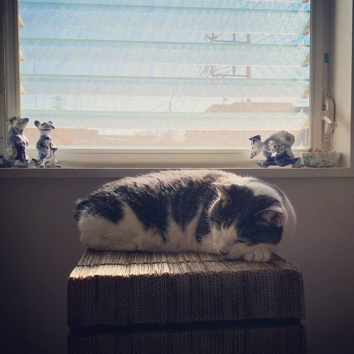 D7d4a3cf e8b9 4011 b4f3 ffbb6a0ffda8 1578546214729