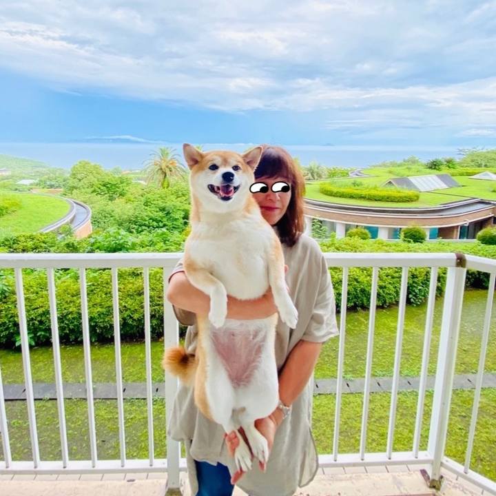 D7d4b53e 1d2b 4f3b b347 6c6182cf4518 1595673252026