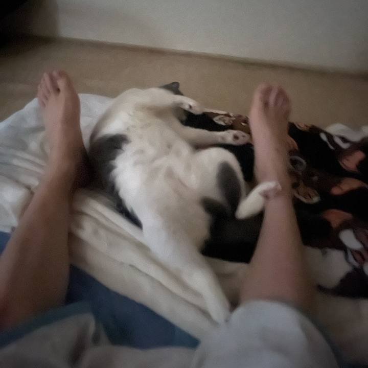 D7d4b8ba bf21 44a2 98d3 99230867b0ac 1750622754951