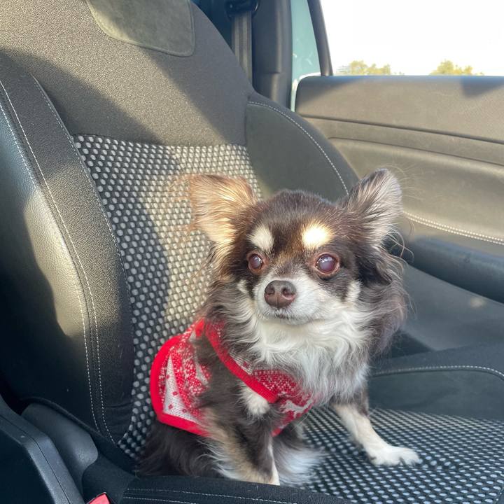 D7d4d3b9 955b 4f08 bbe4 c1f318300897 1644408845269