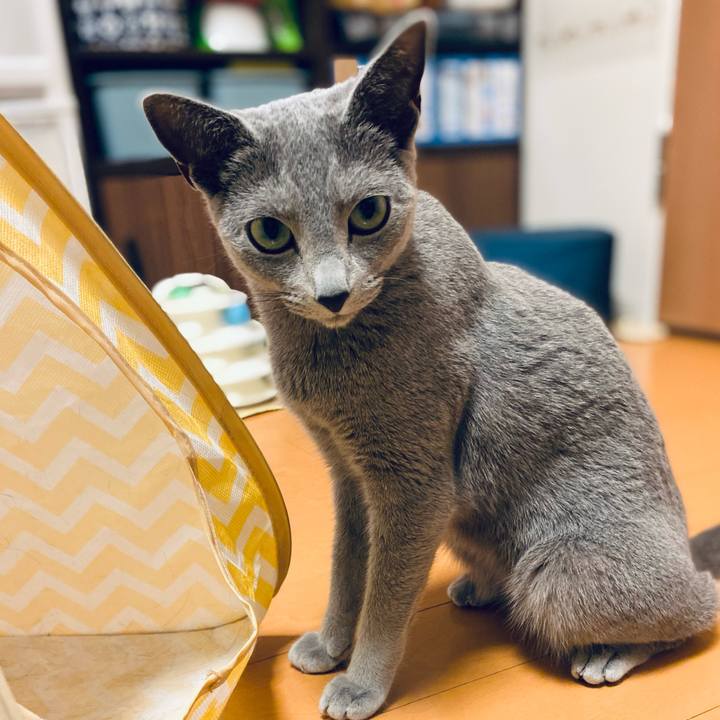 D7d4ddb4 5f84 4ff7 b804 9495c07bbd7a 1652310073673