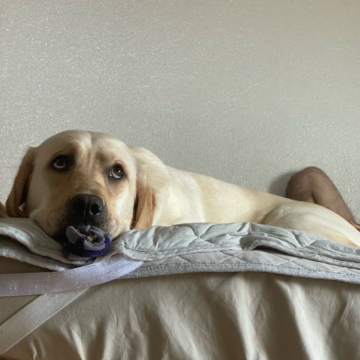 D7d4ec57 fa1e 48de 9596 fbfe4836ed11 1661049190715