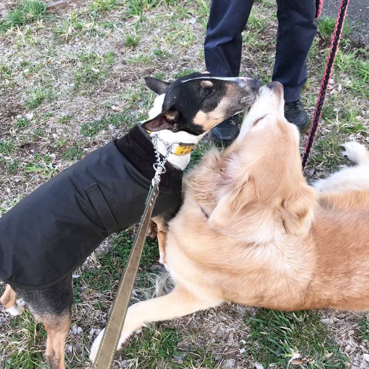 D7d54e8e 7c4f 48de 9140 6e9264eb5111 1520765055279