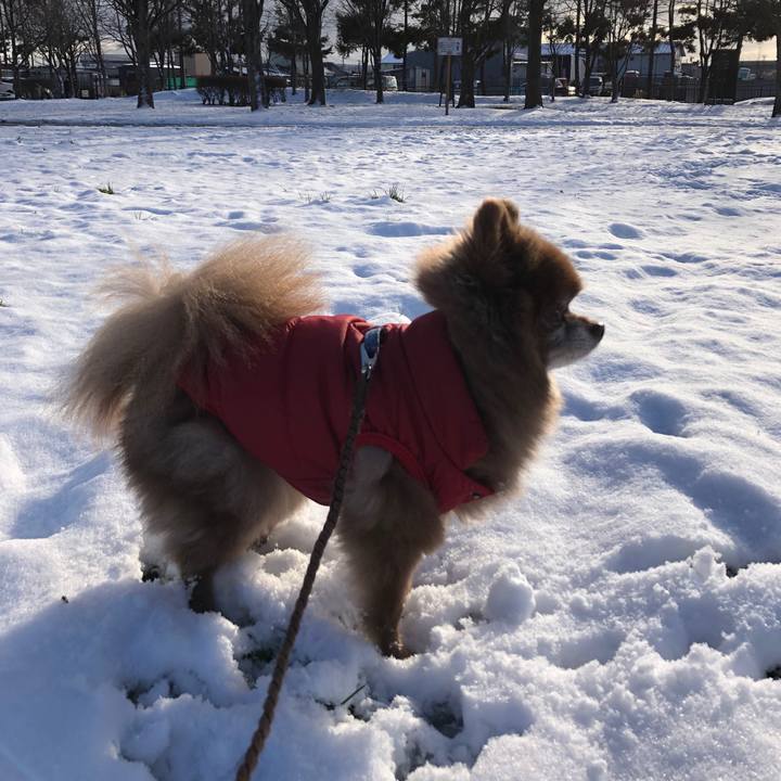 D7d580f7 af8e 49e6 841b f3ba5d006cff 1639451483491