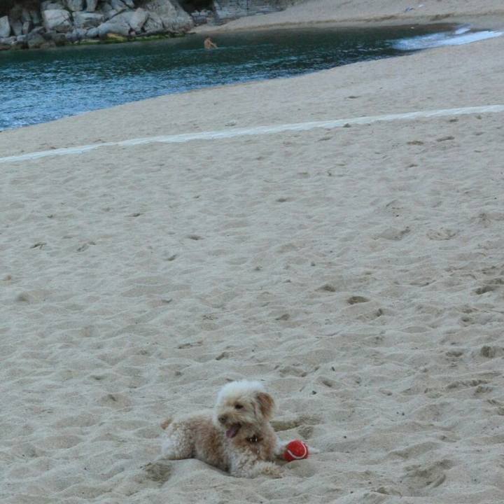 D7d59833 e69d 465e b245 c5bb63baa3c7 1529929634529