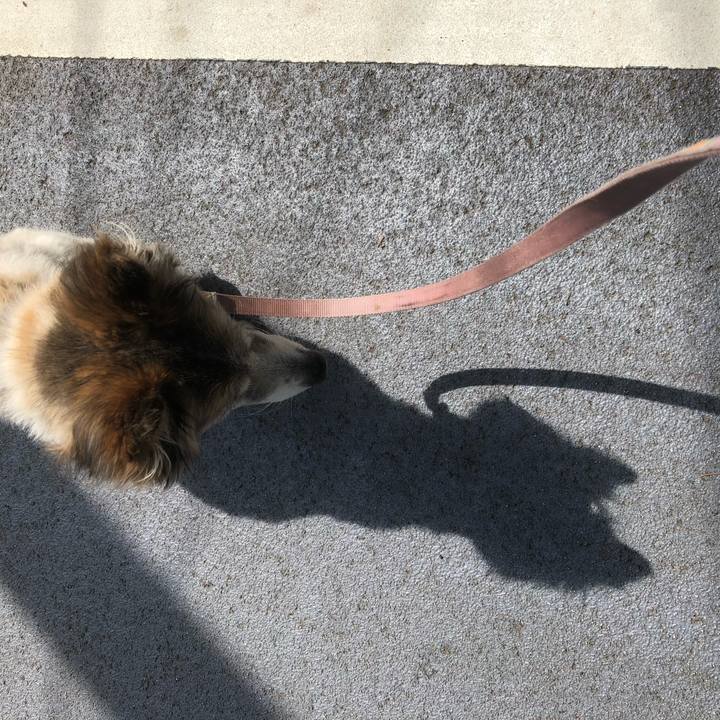 D7d5abbb 4d3f 4219 a7c2 446df80f0b2c 1526449949230