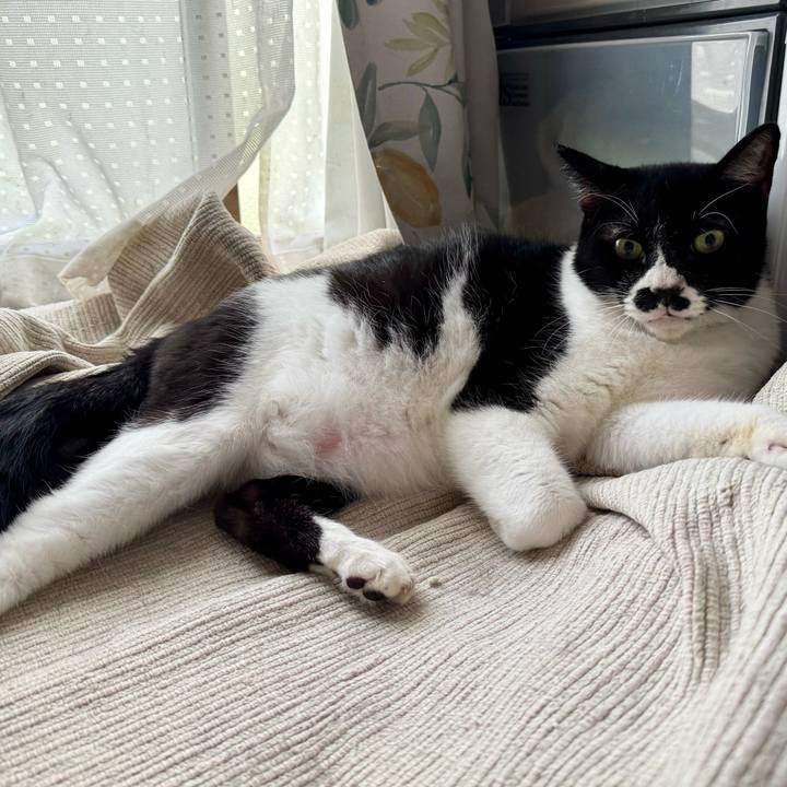 D7d5de16 841f 43a0 912a b0b30e7f7635 1757212601517