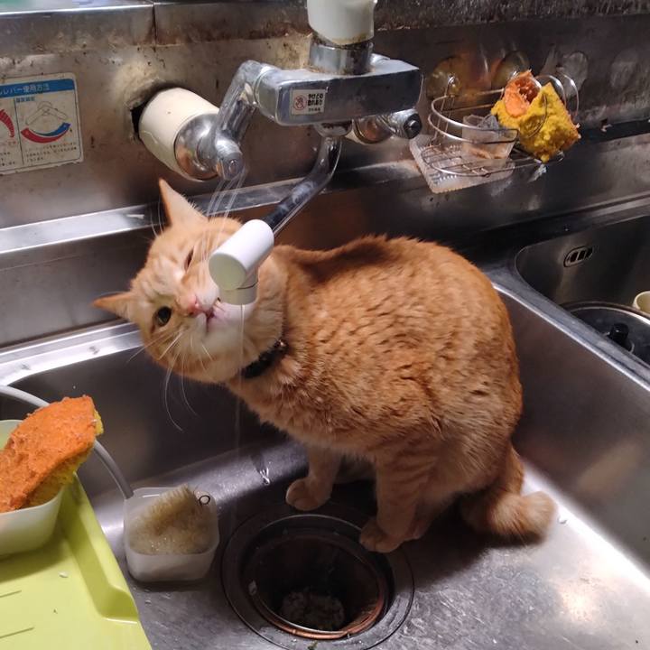 D7d5e5a0 3f41 4355 9a74 42b855dff67b 1710625151833