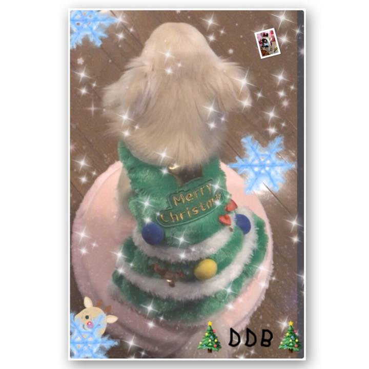 D7d5e79d 3def 48d6 a3ba 6b6d66d94a16 1513433310670