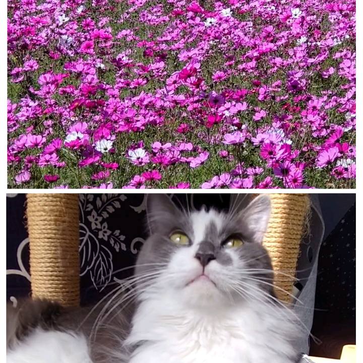 D7d6010c d99c 40e3 ab98 ec844b1395c5 1697947194051