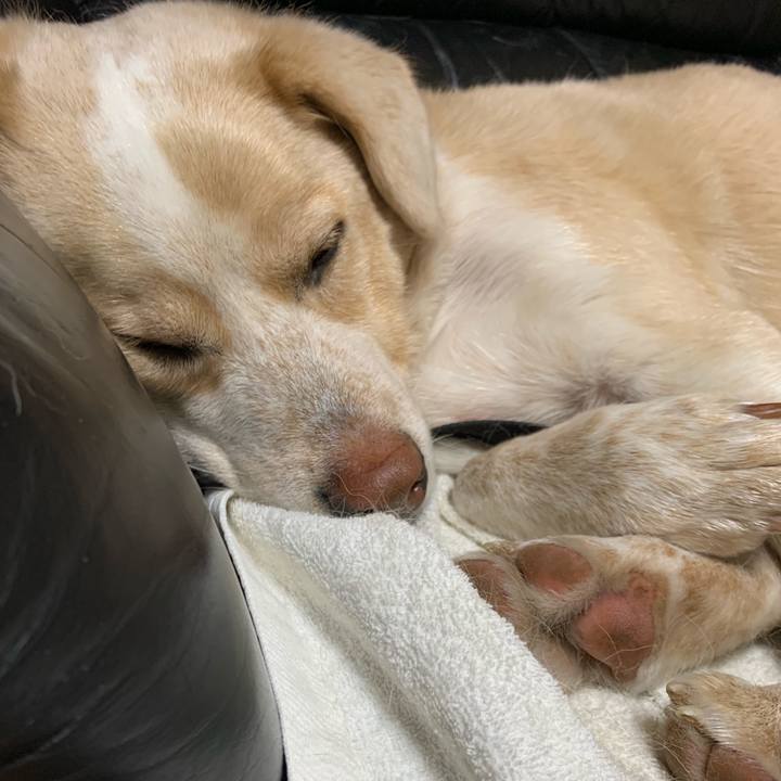 D7d61540 8d8f 4d39 938c 18233f341f07 1551885022020