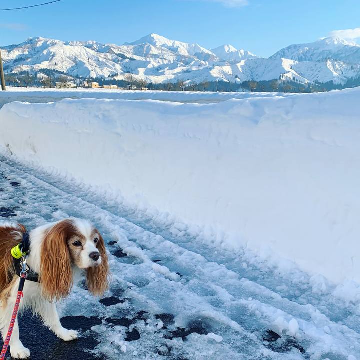 D7d68c81 9bd4 49ab a21b be5fd5e808c2 1608624050377