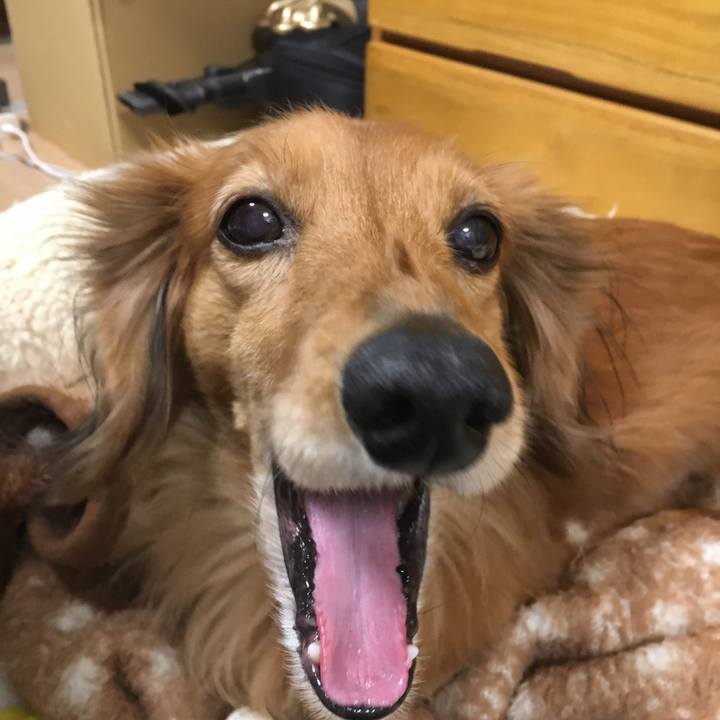 D7d69b87 9272 407b 8224 959b5c0dce09 1549108480835