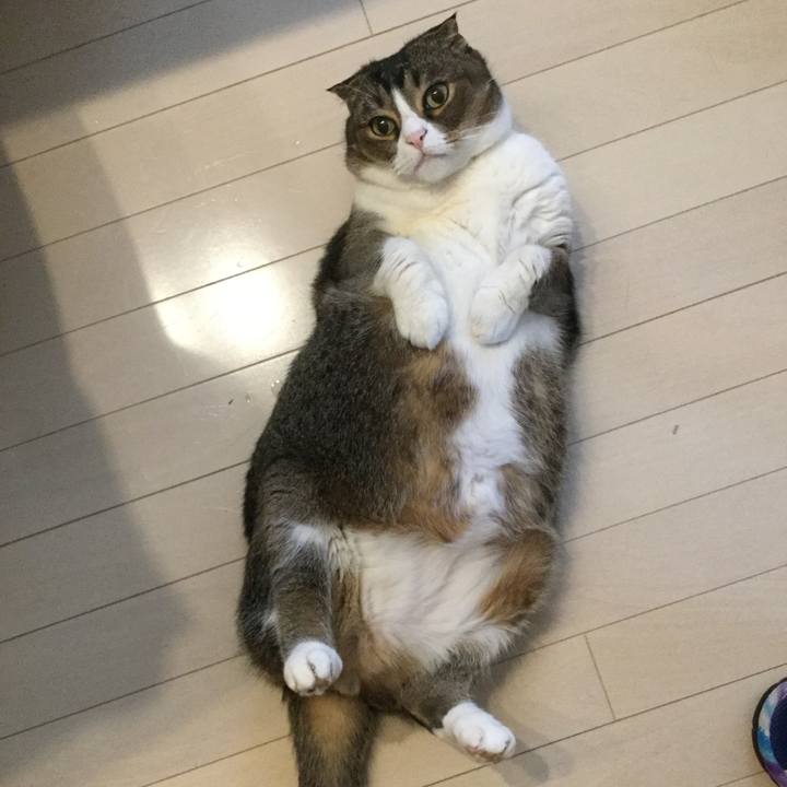 D7d6c0b5 2c11 40cc afc3 87f7d7e3bd36 1555974338738