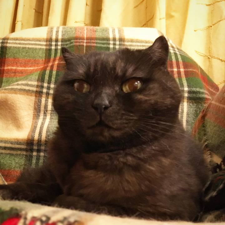 D7d6db5e c16e 43dd bf4d fccdb5d48d61 1522773886189