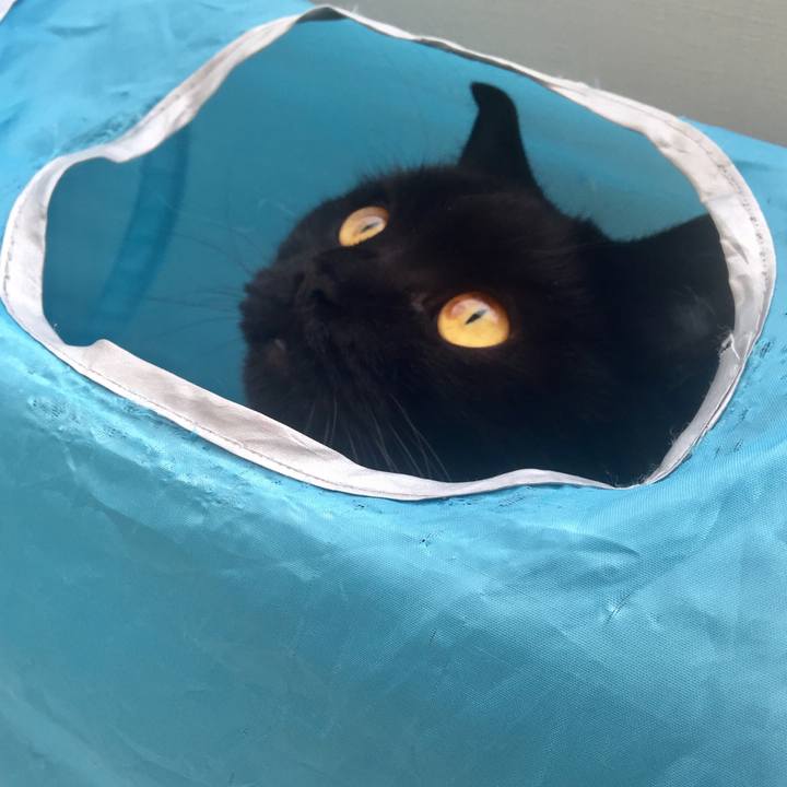 D7d6e279 8cfa 4bce 945f 822af214f33c 1592209509449