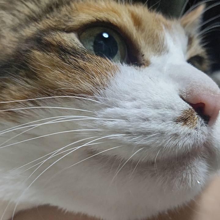 D7d6fd21 1bbb 4da8 a960 14ca00a4ccde 1641416795785