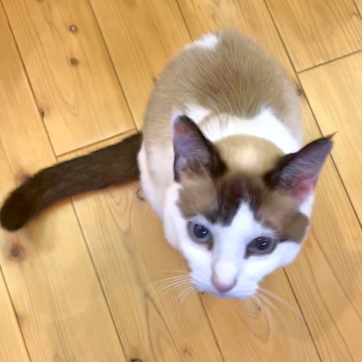 D7d7157d e205 41d8 9dbf 43c9e86f2c9d 1524575554968