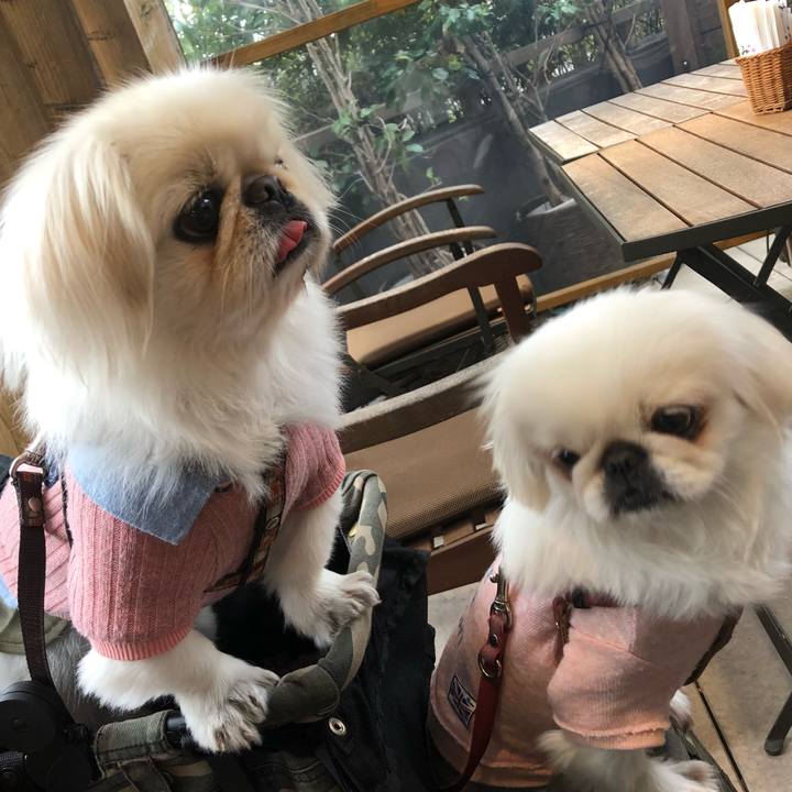 D7d724a5 c546 4f0a 9541 52c3c3ec8418 1542065701159