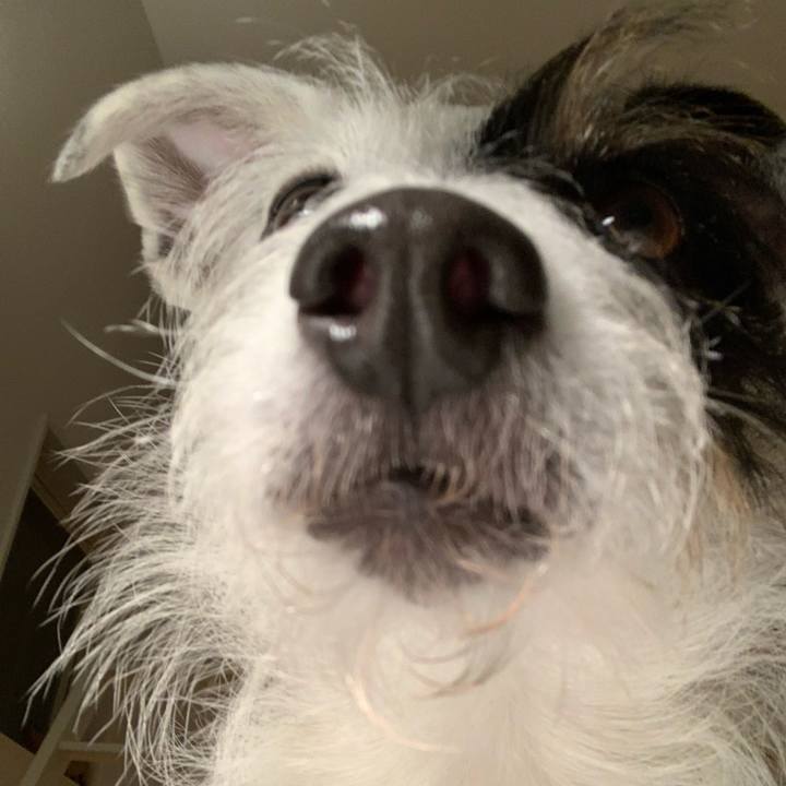 D7d728e1 773c 4414 8d0b 85ea6ba886bc 1609937671937