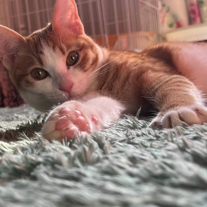 D7d74974 6d33 4de5 bbfc 4300cfb8d80f 1641184730827