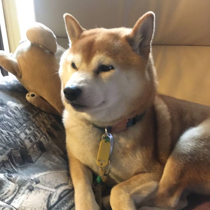 D7d78649 9eed 4285 839b 09efd8bafb29 1570885959771