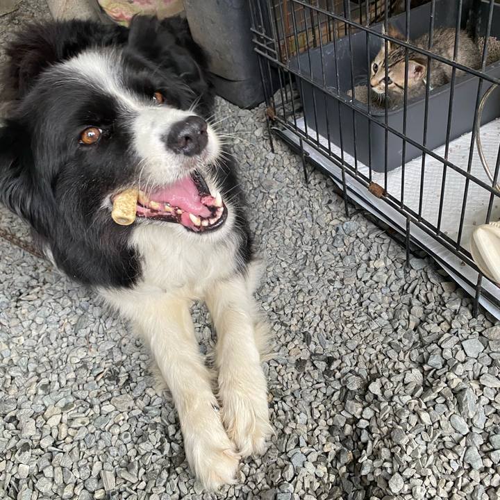 D7d7cc5f 8cd4 48da a976 4dc32d3e324e 1598491979350