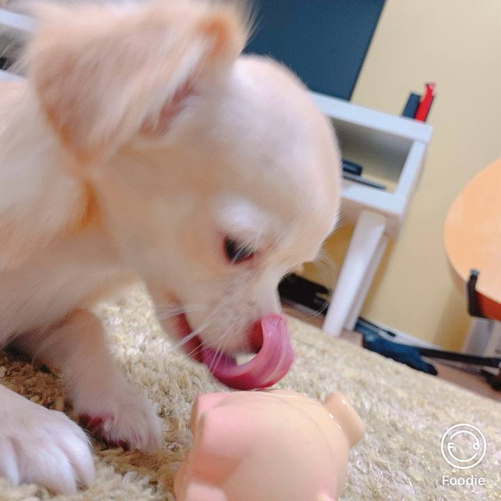 D7d7fb66 993a 4464 ac3e 2c6863523a5b 1602904779139