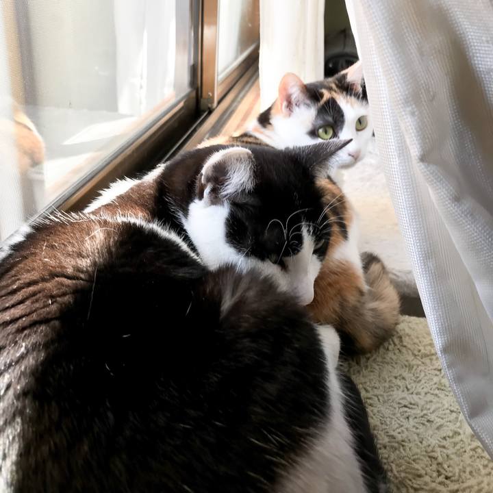 D7d82010 9d43 4686 8795 53b6c3a11ea3 1522804448444