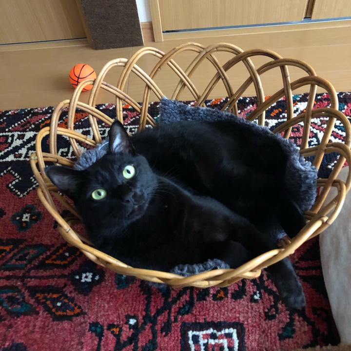 D7d866de d0f7 4cda aa40 5f447e7f5b41 1574835791790