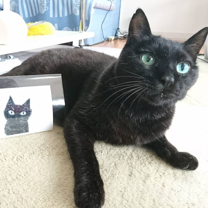 D7d8809e fd30 4254 904b 82daca7832e8 1574828237782