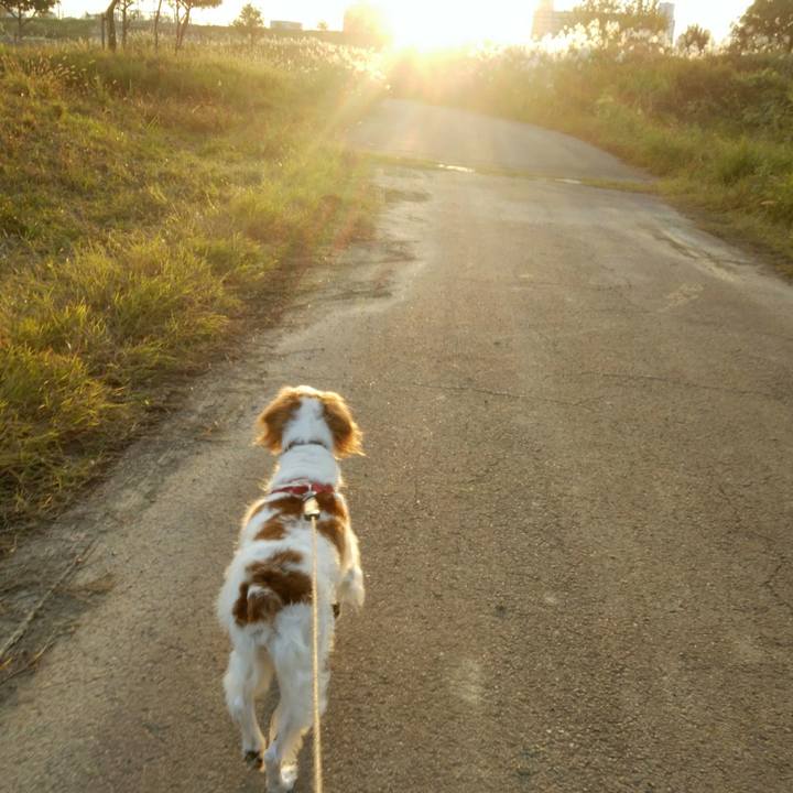 D7d88e98 5562 4a5d 94f4 4a93e8cdec88 1541934862743