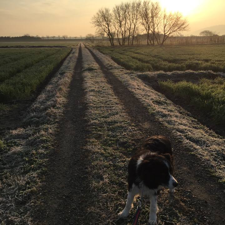 D7d8d650 2f67 425c ba16 38e2c70e0fea 1580772712230