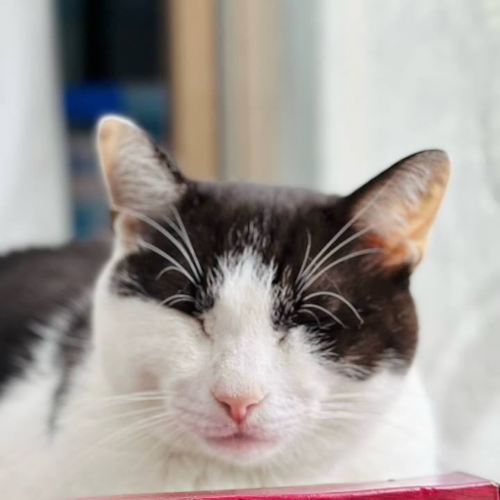 D7d9077b 458b 4302 9147 dd7aaa6d16d5 1666058050820