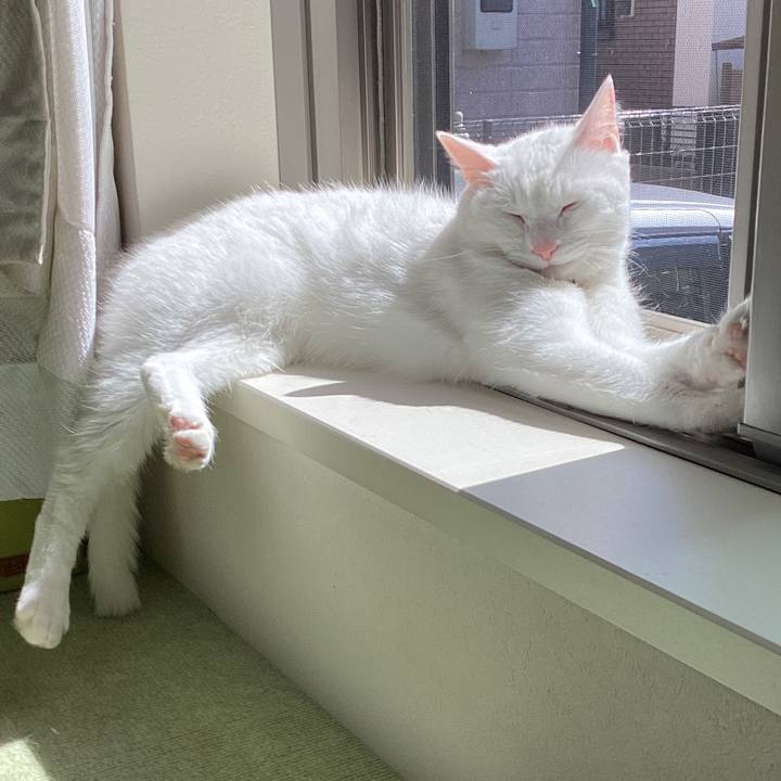 D7d91829 6d82 4a29 86cf 2c7ca1a52971 1715404757359