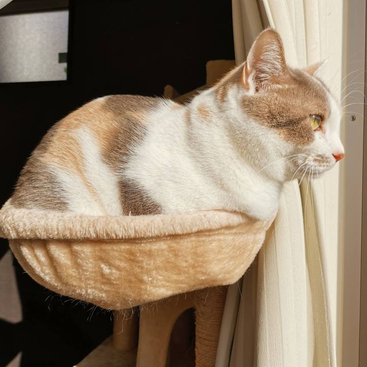 D7d9254b a466 4598 9dd8 58df19176dbc 1667879302343