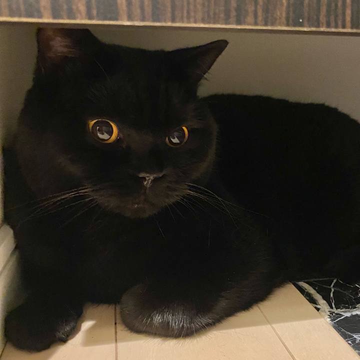 D7d992db 7dae 4b10 a2ec 209ede955128 1688130696818