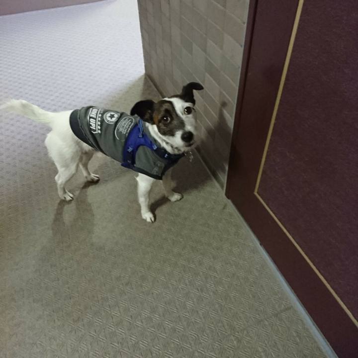 D7d99c83 6667 404e 8c72 51ff0ee9b858 1518696440001