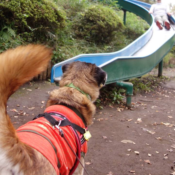 D7d99f79 7b3a 496b 9a84 c8f8b135606f 1571619954712