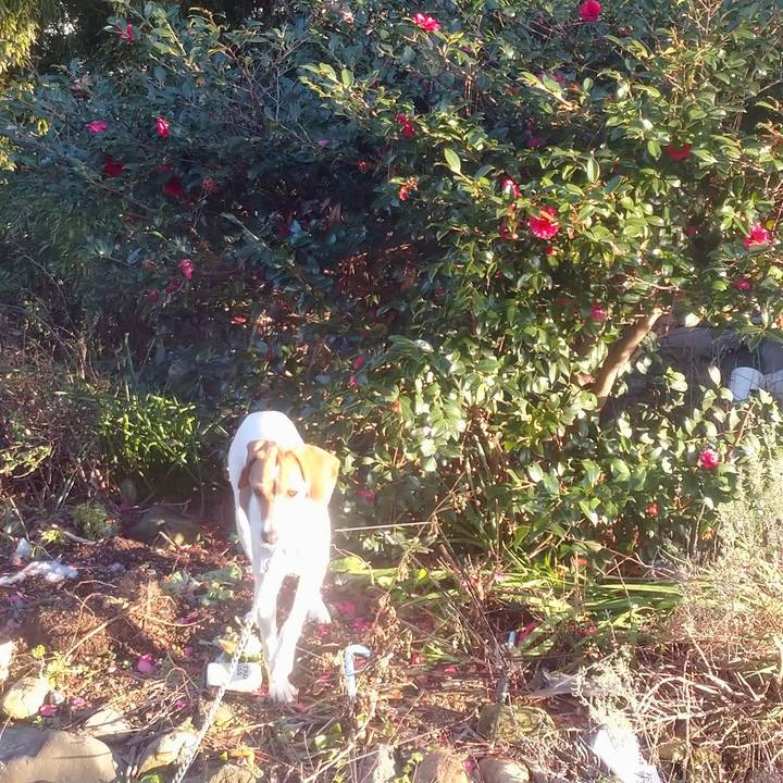 D7d9adb0 989d 4be3 bf72 f4cc00218a30 1581580332548