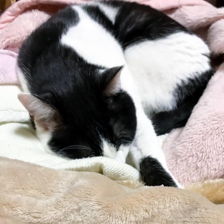 D7d9bc23 a560 45b2 b54a 147584ce6ed4 1514165764378