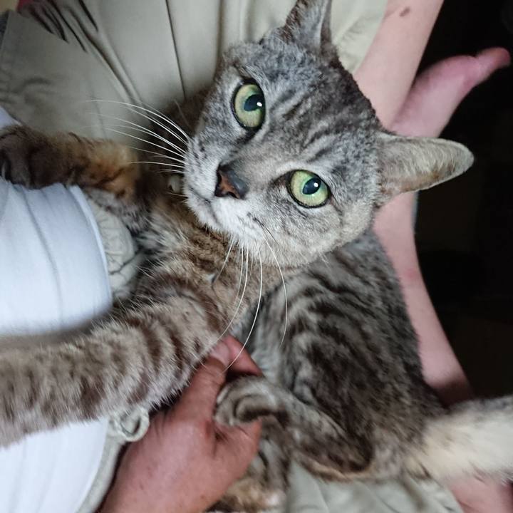 D7d9c88d 391f 4d22 abe4 2617bc257a44 1563276063424