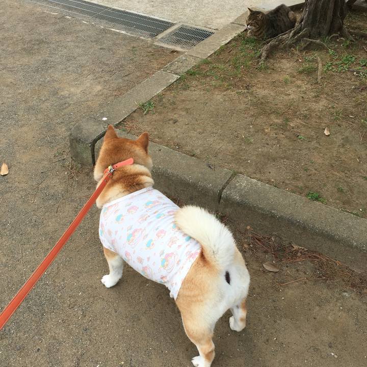 D7d9eb9e 3bde 4061 baaf 09052920bb7c 1613300425985