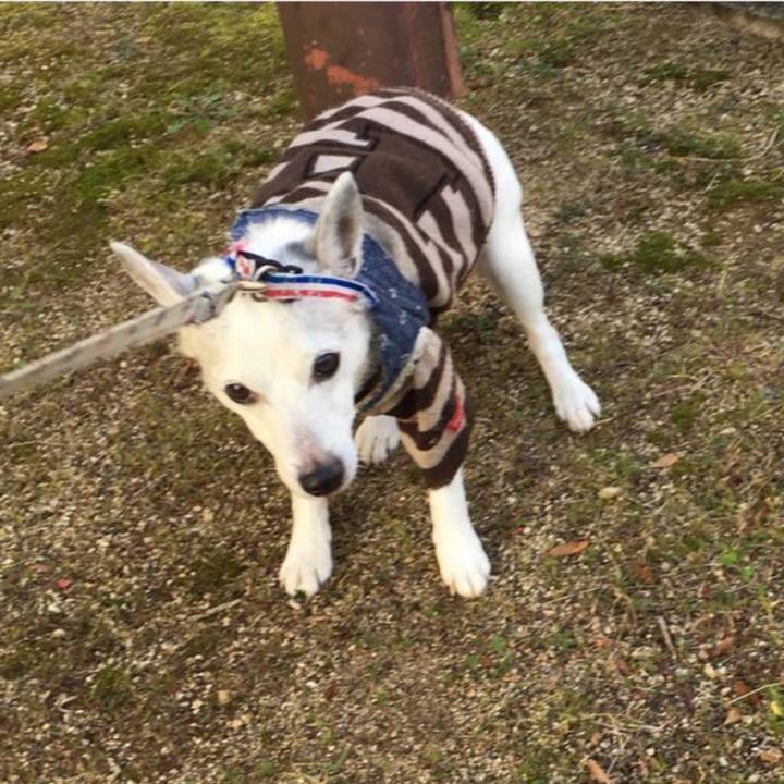 D7da7245 9ff9 4038 95d4 404b3bb4851b 1765925584618